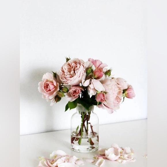 Meet your Posher, Lydia - Picture 2 of 9